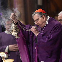 Erzdiözese Wien/ Schönlaub, Stephan Schönlaub