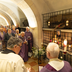 Erzdiözese Wien/ Schönlaub, Stephan Schönlaub