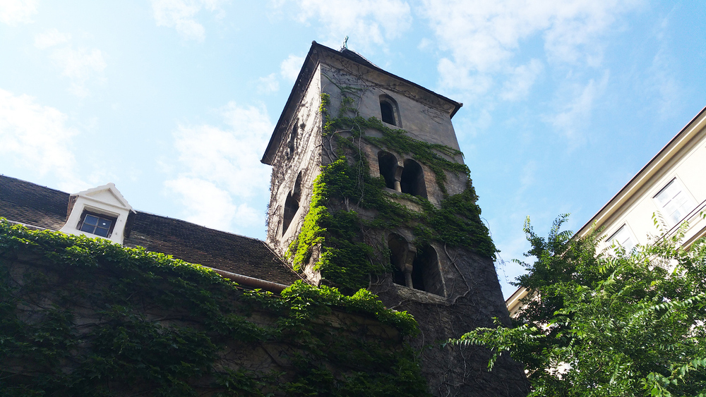 Ruprechtskirche in Vienna, Austria and  green Grass on the wall at summer