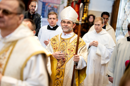 Priesterweihe Ambruster / Erzdiözese Wien/Schönlaub